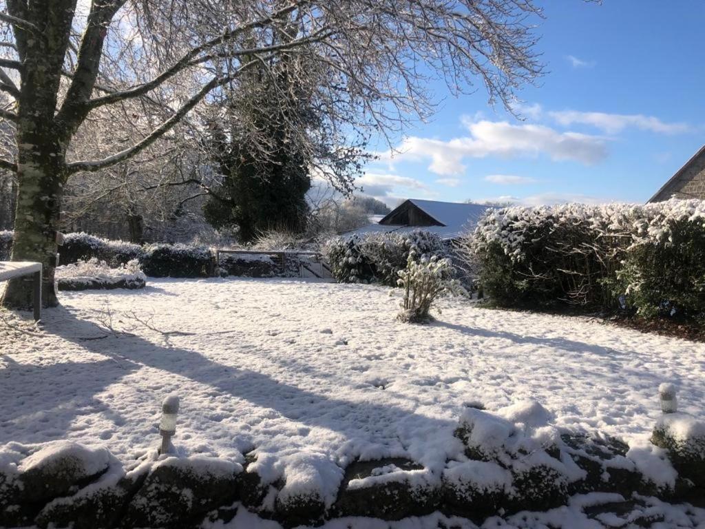 Maison De Campagne Sarroux エクステリア 写真